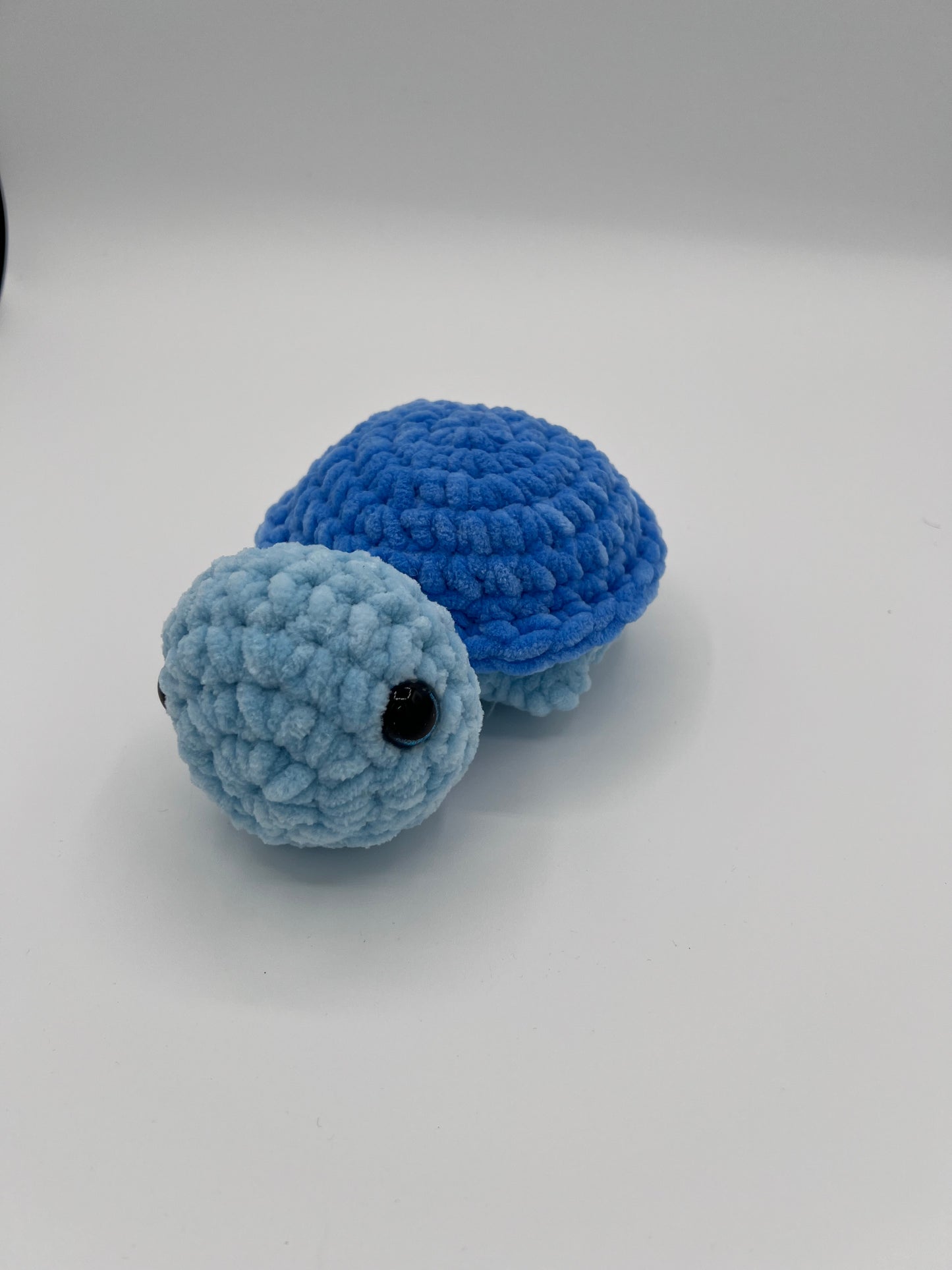 Chunky Blue Turtle